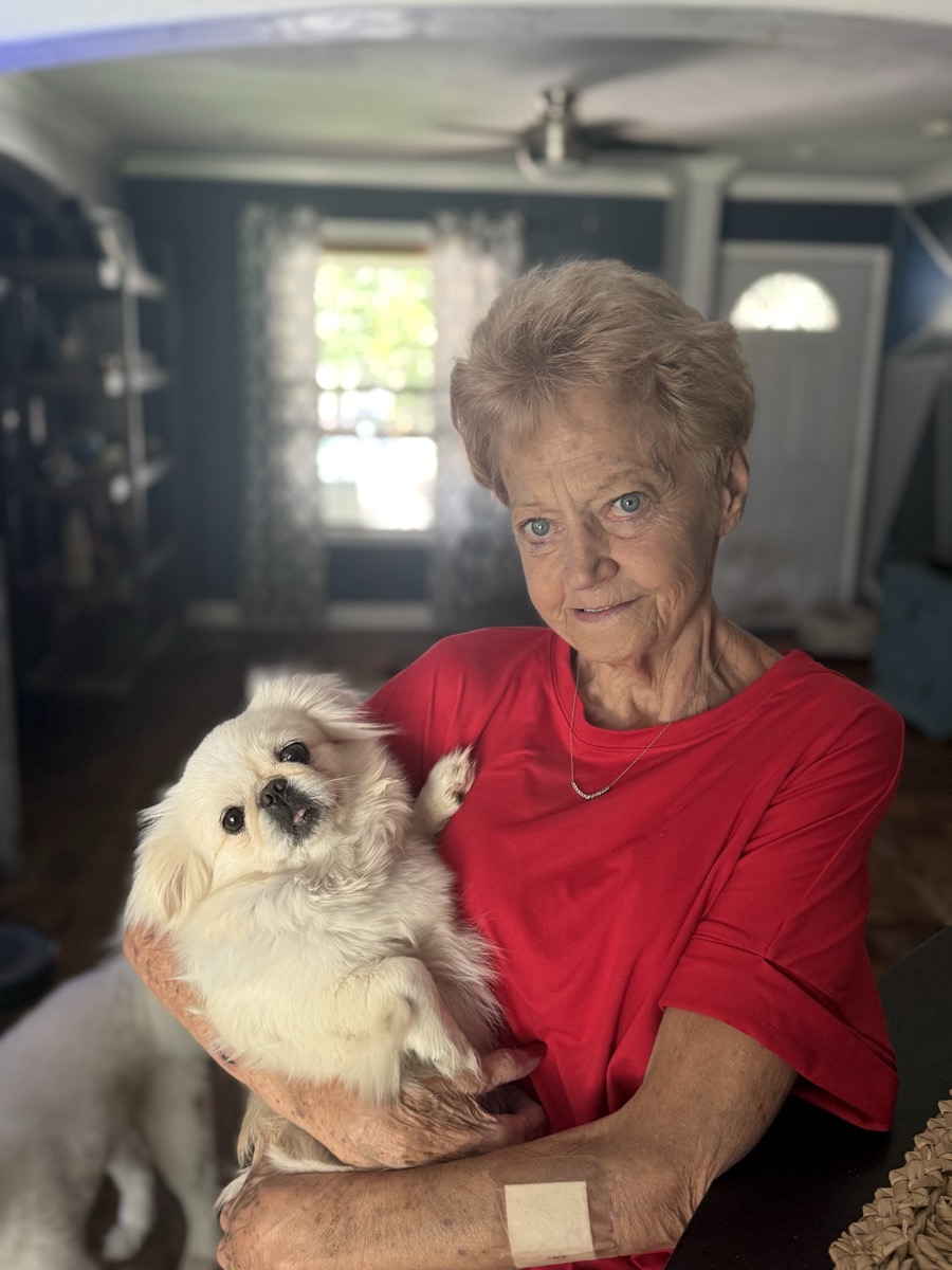 Sugar looking adorable